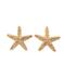 Серьги морская звезда